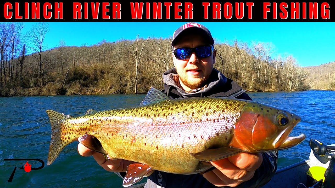 Clinch River Fly Fishing