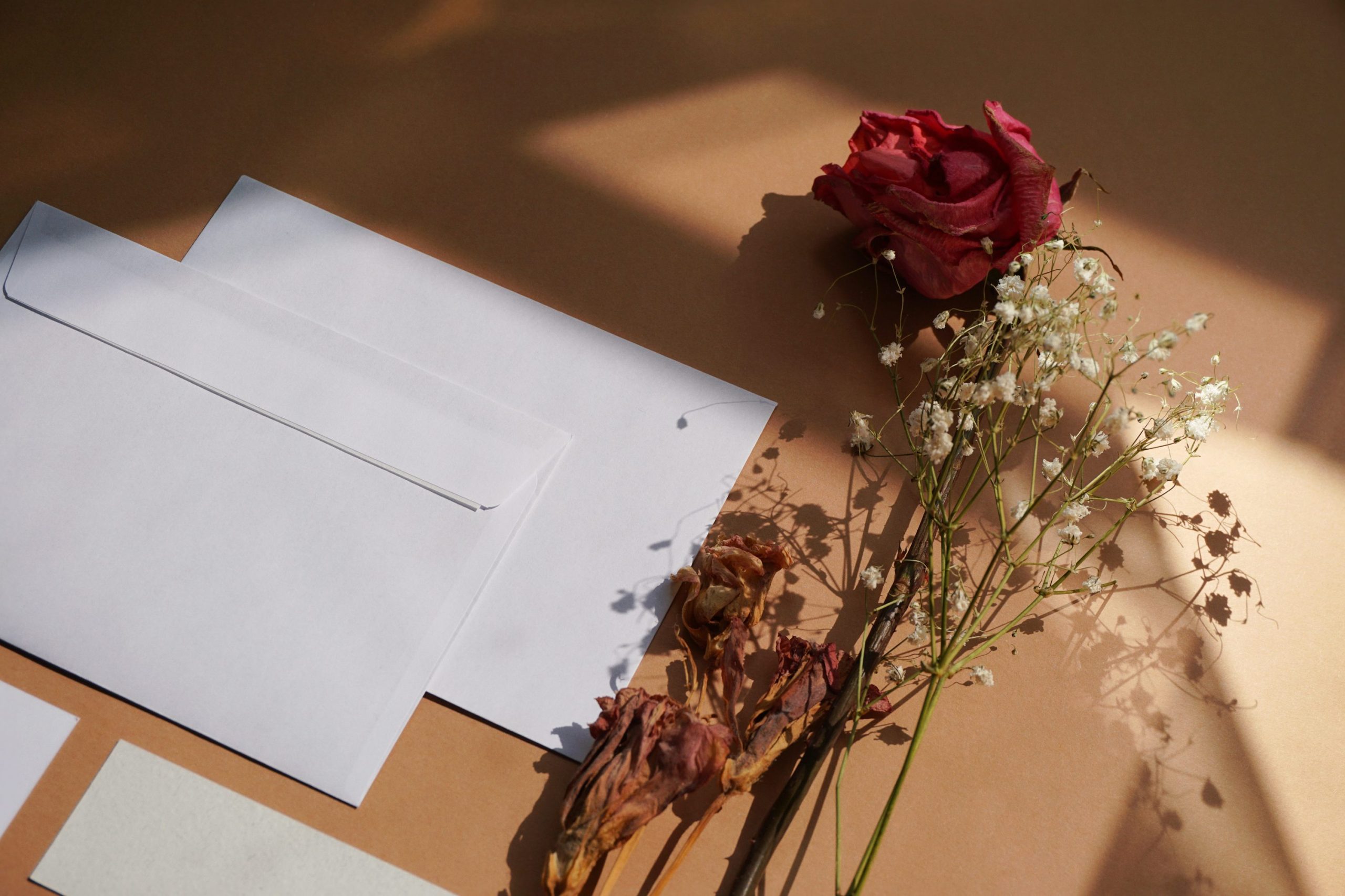 How-To: Create Custom Mailing Envelopes Easily